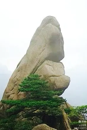 黄山怪石